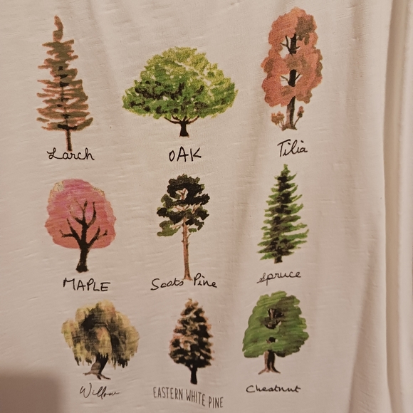 Cream botanical graphic tee - Picture 4 of 5